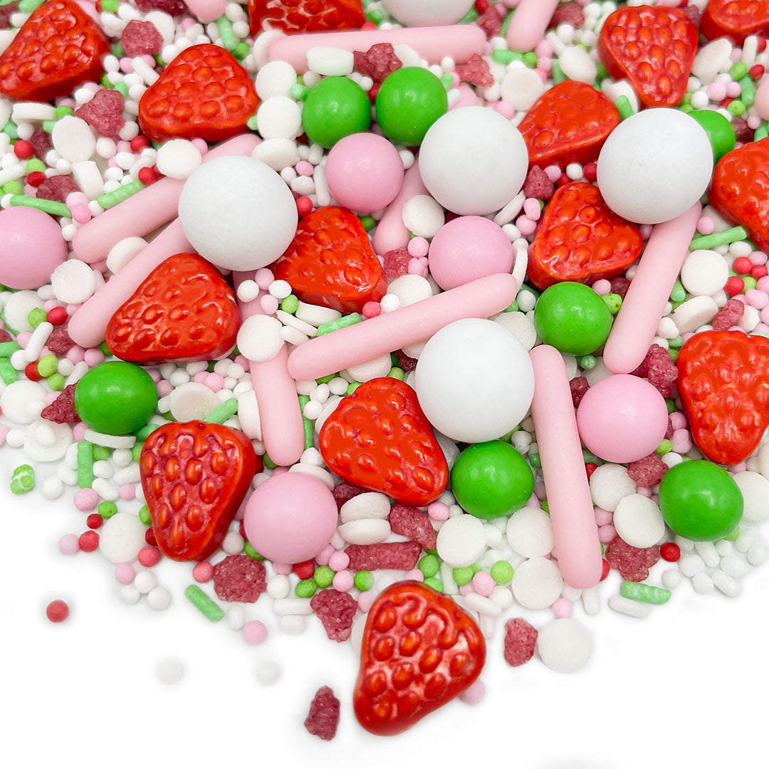 Champs de fraises